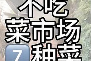 开云app官网下载安卓版本截图4